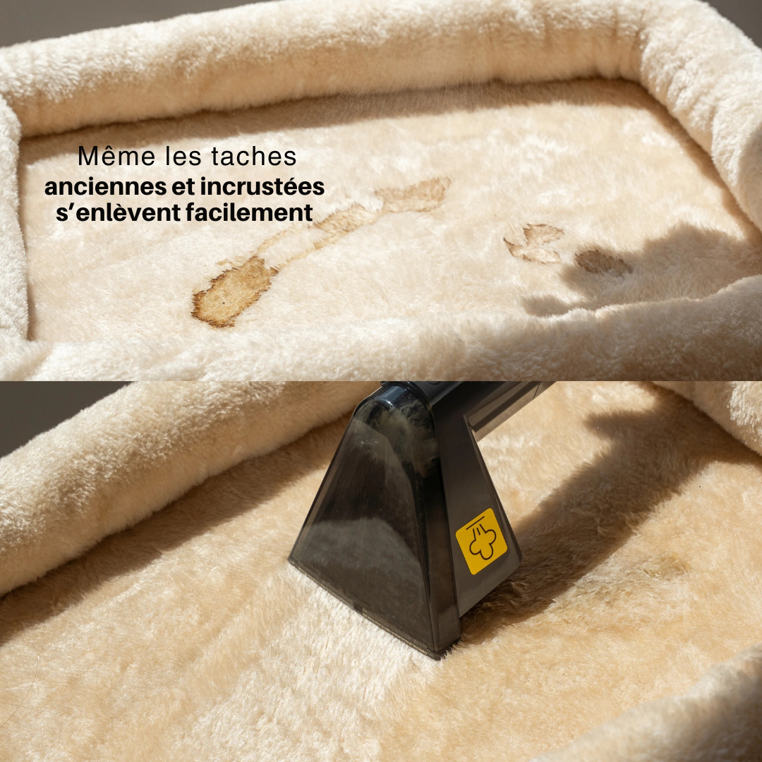 SpotWash Pro- Shampouineuse à injection-extraction.